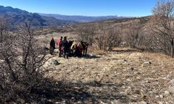 Tunceli’de ava giden vatandaş kalp krizi geçirerek hayatını kaybetti