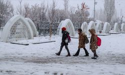 Van'da eğitime ara verildi! Valilikten açıklama