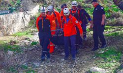 Muğla'daki ölümün sır perdesi aralandı | 16 yaşındaki çoban tutuklandı