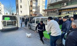 Berber koltuğunda acı ölüm! Tıraş olurken silahla vuruldu