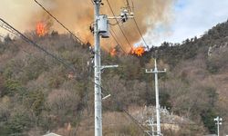 Japonya'da yangın: 150 kişi tahliye edildi