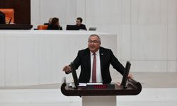 Süleyman Bülbül: “Ak Parti, kayyumlar iktidarı olarak anılacak”