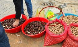 Bu da oldu! Vatandaşa üzerine saç spreyi sıkılmış kestaneleri sattılar