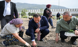 Bornovalı kadınlar Kent Bostanı’nda üretimle güçleniyor