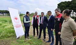 İzmir’de kuşkonmaz üretimi yaygınlaşıyor