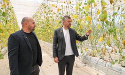 Buca Belediyesi’nin serasına zarar verdiler... 1.5 milyon kayıp