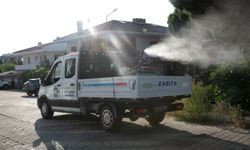 Güzelbahçe’de hijyen için ilaçlama hamlesi