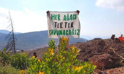 Yurttaşlar talan yasasına karşı ayakta: Dokuz şehirde eylem