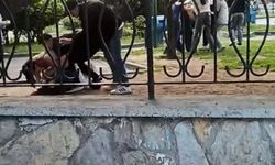 Başakşehir’de akran zorbalığı