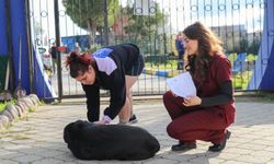 Can dostları yeni sahipleriyle buluştu