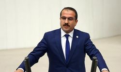 AK Partili Kırkpınar’a göre ‘zeytin ağaçları katledilecek’ eleştirileri manipülasyon