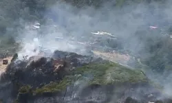 İzmir Kemalpaşa’da orman yangını kontrol altına alındı