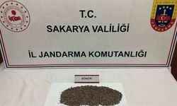 Otoyolda uyuşturucu sevkiyatı jandarmaya takıldı: 1 tutuklama