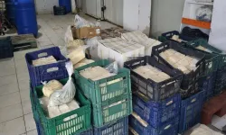 İzmir’de bir işletmenin deposunda 1,5 ton bozulmuş peynir bulundu