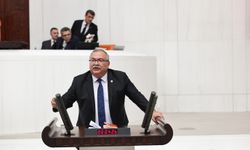 CHP’li Bülbül’den hükümete zeytinlik çıkışı: “Bu teklif anayasaya aykırı!”