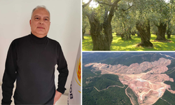 Hakan Çakıcı: Zeytinliklerin madenciliğe açılması demek, halkın gıdaya erişimine doğrudan tehdit
