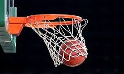 Aliağa Petkimspor, Amerikalı pivot Jehyve Floyd'u transfer etti