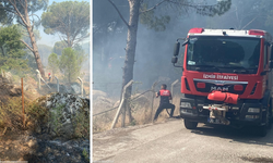 Bergama’da çıkan yangın ormanlık alana sıçradı