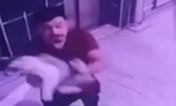 Hamile kediye şiddet uygulamıştı: Gözaltına alındı