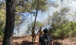 Muğla’daki orman yangınında son durum!