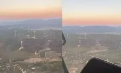 Urla’daki yangın kızılçam ve zeytin ağaçlarını küle çevirdi