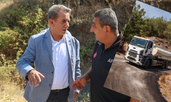 Başkan yetişkin yangın bölgesinde