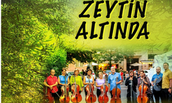 ‘Zeytin Altında’ konserleri başlıyor: Çelloyla dünya turuna hazırlanın