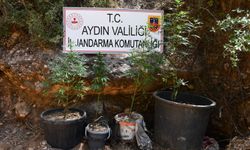 Bozdoğan’da Yasaklı Madde Üreten Şüpheliye Eş Zamanlı Baskın