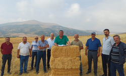 Kuraklık ve düşük fiyat çiftçiyi vurdu