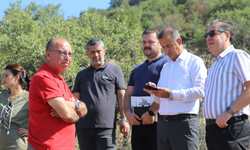 Can Dostlar İçin Turgutlu’da Doğal Yaşam Alanı Kuruluyor