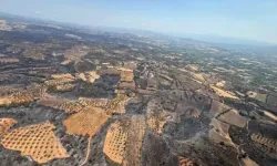 Sondakika: Çanakkale’deki orman yangını kontrol altına alındı