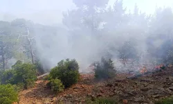 Denizli'de korkutan orman yangını