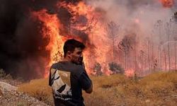 Orman Yangınları ve Yanıklarda “Dur, Yat, Yuvarlan” Kuralı
