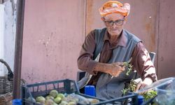 Beydağ'da 212 üreticiye gıda kodeksine uygun 1034 kerevet