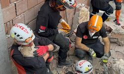 BUCAKUT ve AFAD ekipleri minik köpeği enkazdan çıkardı