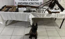 Aydın'da silah kaçakçılığına jandarma darbesi!