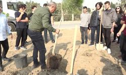 Gençlerin eliyle daha yeşil bir Bornova