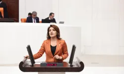 Gülcan Kış: “TÜİK’te bahar halkın sofrasında kıyamet”