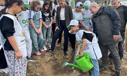 Kaymakam Huriye küpeli kan eşliğinde yazırlı'da fidan dikimi başladı