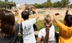 İzmir Doğal Yaşam Parkı’na ziyaretçi akını