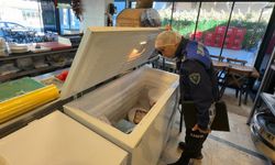 Marmaris'te halk sağlığı için gıda denetimleri sürüyor