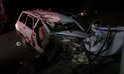 Alkollü sürücü elektrik direğine çarptı: 2 yaralı