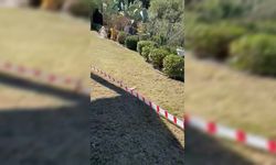 Muğla'da Aydın Ayaydın’ın villasının bulunduğu alan için Danıştay’dan durdurma kararı