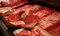 Şenkara: "Restoranlar daha titiz çalışmalı"