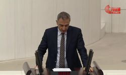 Şeref Arpacı: Mehmet Şimşek, sıkı para politikasıyla vatandaşa aslan kesilirken kamu israfını önlemeye gelince kedi