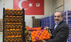 BALÇOVA’NIN TURUNÇ PROJESİ AVRUPA’DA FİNALDE