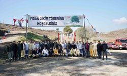 Milas’ta yanan sahalar fidanlarla canlanıyor