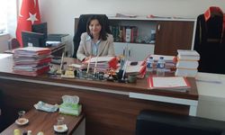 Bozdoğan'da yeni hakim ve savcıların isimleri belli oldu