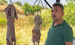 Çam ağaçlarının gölgesinde 70 yıllık lezzet