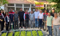 Aydın’da ilek pazarı denetimleri aralıksız sürüyor